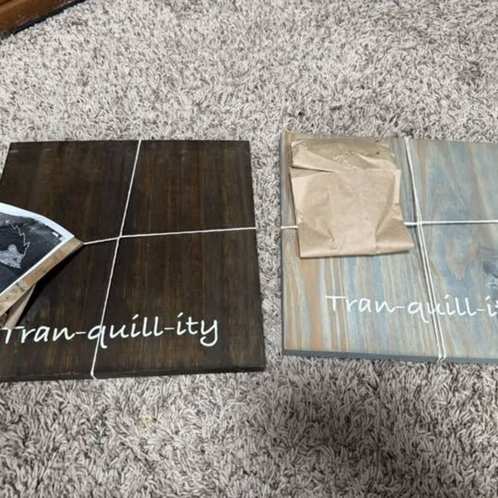 DIY- string art kit that you nailed 12”- hedgehog Tran-quill-ity' Wood